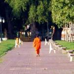 A Cambodian monk takes a cool walk through the park.