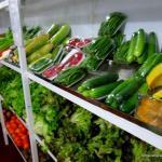 A shelf of fresh produce at Veggy's Phnom Penh.