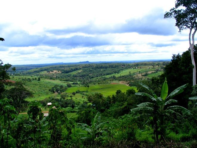 jungle Ratanakiri