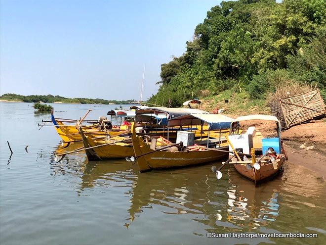 Dolphin boats Kratie