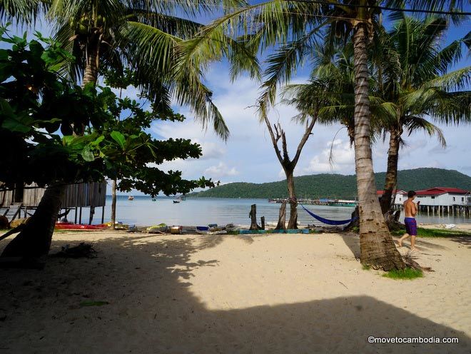 Koh Rong Sanloem Easy Tiger