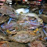 Kep Crab Market crab basket