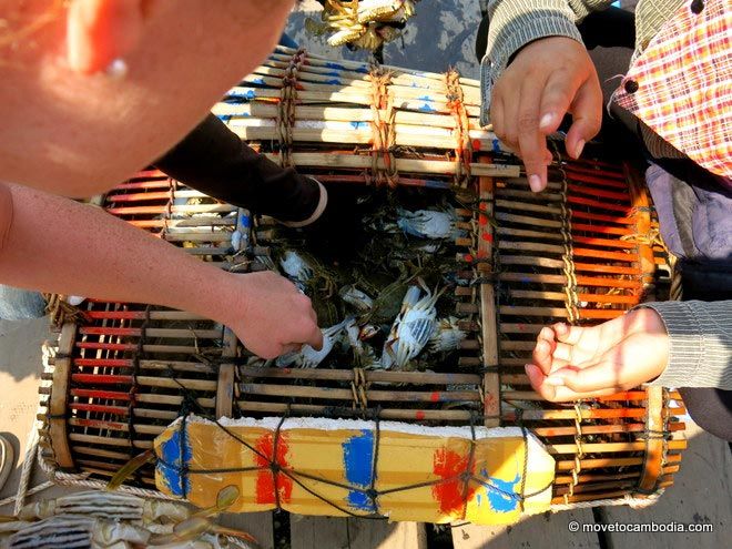 Inspecting crabs and Kep Crab Market