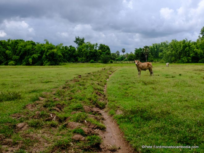 Koh Trong Cambodia