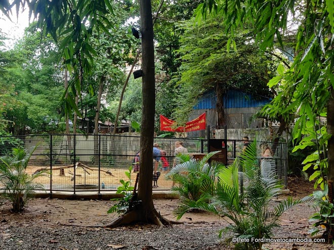 dog run Odom Park Phnom Penh