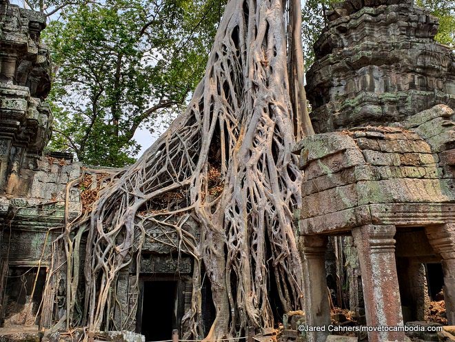 Ta Prohm Cambodia