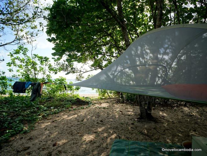 Koh Rong Sanloem Sleeping Trees