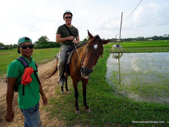 riding horses siem reap