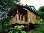 Coconut Beach Bungalows